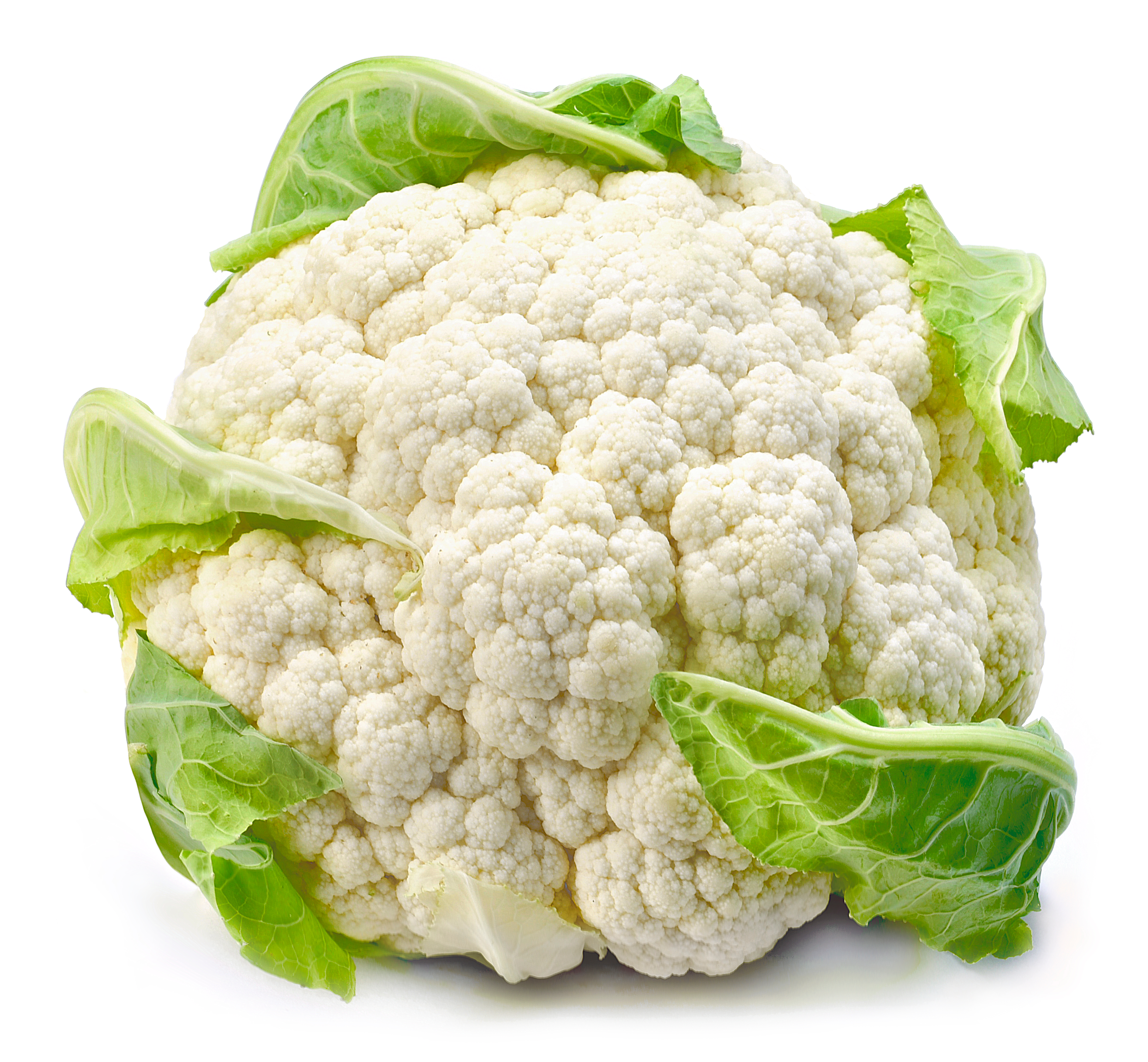 Bloemkool