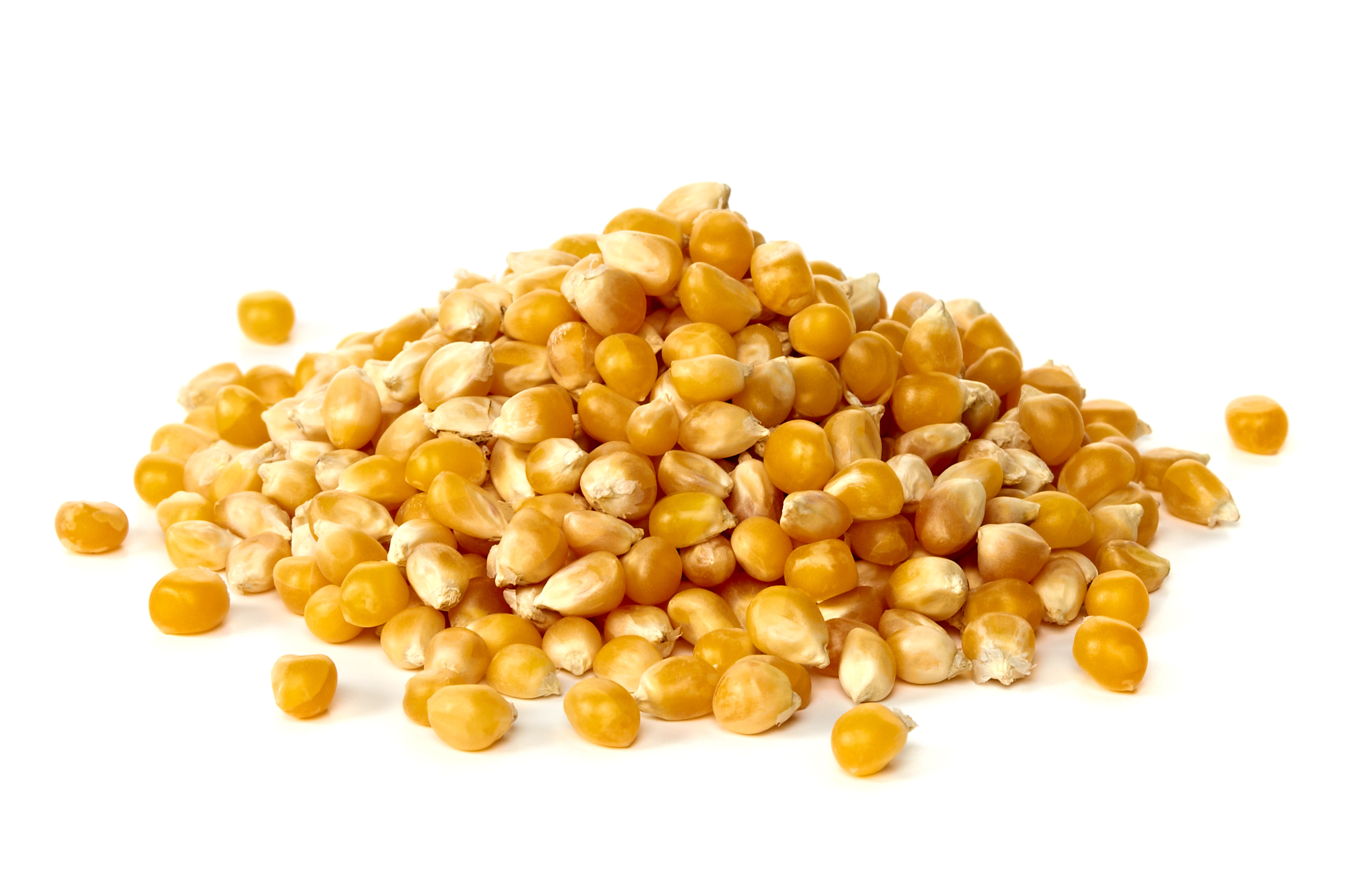 Popcorn Maïs (Huismerk)